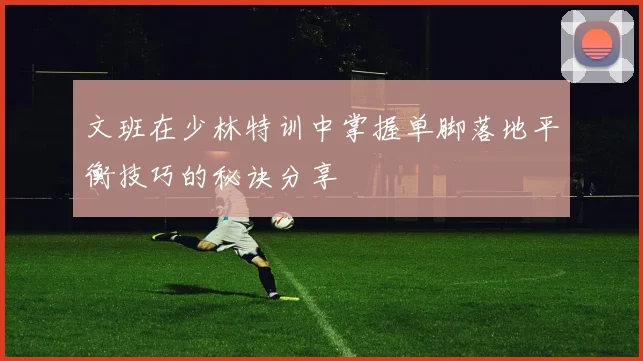 文班在少林特训中掌握单脚落地平衡技巧的秘诀分享