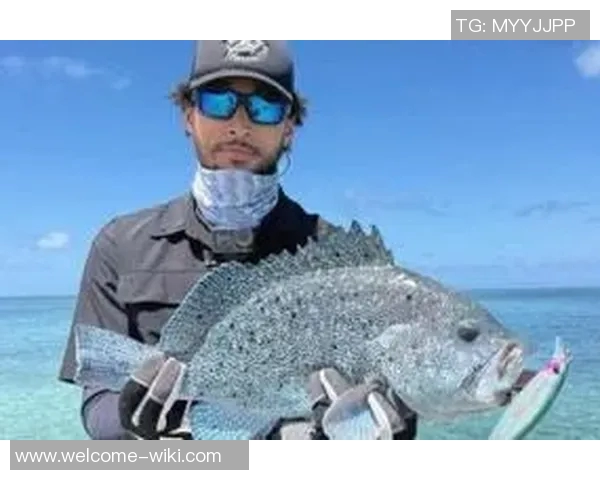 即将步入而立之年的西蒙斯钓鱼是否在为重返联盟做好准备 即将步入而立之年的西蒙斯钓鱼是否在为重返联盟做好准备