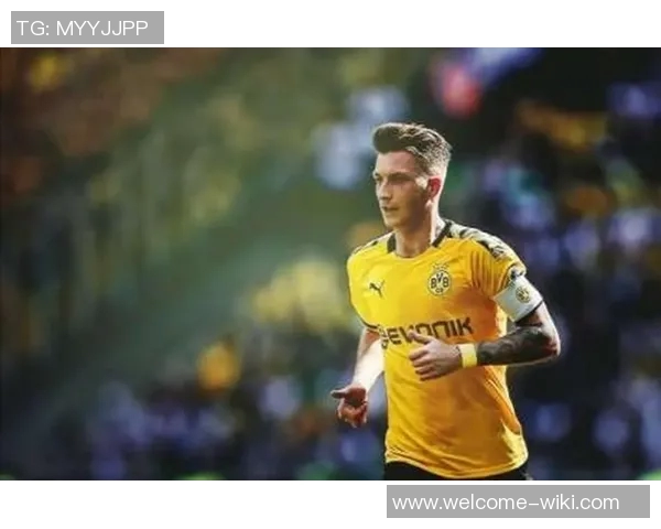 罗伊斯重返多特主场感慨万千出任俱乐部大使心系家园