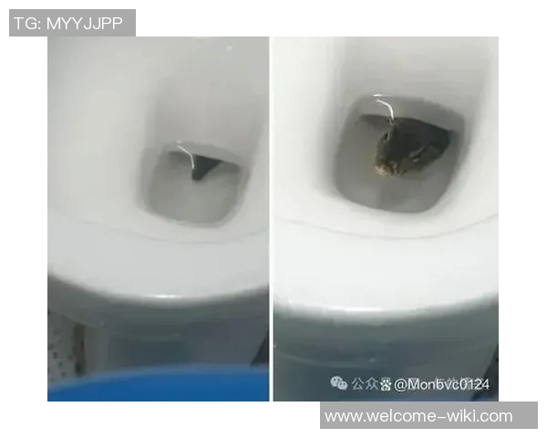 马绍尔赛前更衣室事件真相大白原因竟是上厕所引发热议